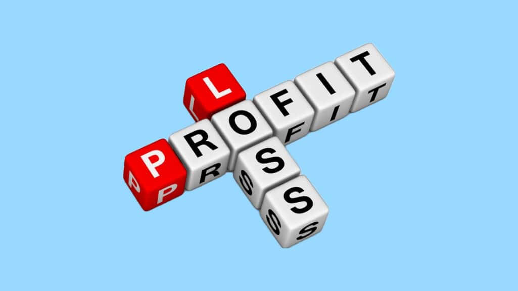 Open P&L meaning